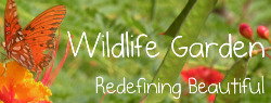 Beautiful Wildlife Garden